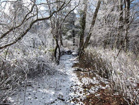 20191129hike (116)
